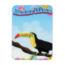 Recherche de exotique magnets Île