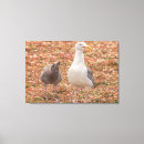 Recherche de crâne art Faune