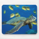 Recherche de tortue verte tapis souris Mer