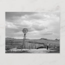 Recherche de sheep posters Ranch