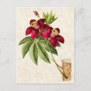 Recherche de soie cartes postales Antique