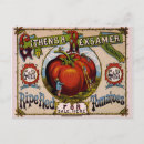 Recherche de tomate mûre cartes postales Nourriture