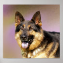 Recherche de deutscher posters Berger