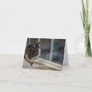 Recherche de rêverie photographie Animaux