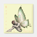 Recherche de fae magnets Ailes