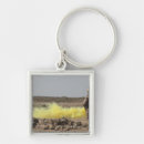 Recherche de us marines porteclés Sécurité