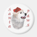 Recherche de pyrénées magnets Dog