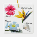 Recherche de ornement hawaïen ornements Hibiscus