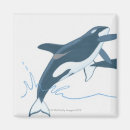 Recherche de orques magnets Animal