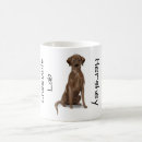 Recherche de chocolate labrador Dogs