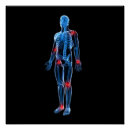 Recherche de rayons x posters Humain