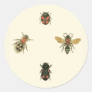 Recherche de vision autocollants Insecte