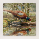 Recherche de faisans puzzles Chasse