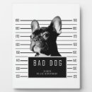 Recherche de chemise plaques Animal