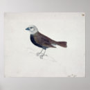 Recherche de gravures sur bois posters Thomas