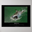 Recherche de great white shark posters Jaws