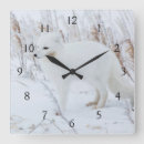 Recherche de renard arctique horloges Superstock