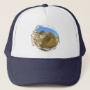 Recherche de vallée casquettes Californie