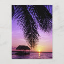 Recherche de clés cartes postales Key west