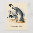 Recherche de de pingouin cartes postales Antique