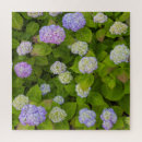 Recherche de hydrangea puzzles Bleu