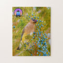 Recherche de montré puzzles Cire