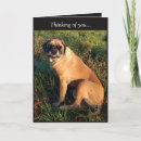Recherche de mastiff vœux cartes Canine