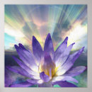 Recherche de lotus pourpre posters Violet