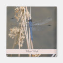 Recherche de aiguilles magnets Nature