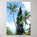 Recherche de palmier posters Travel