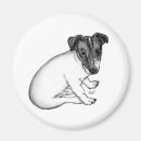 Recherche de jack russel magnets Russell