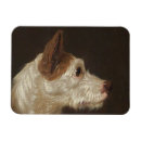 Recherche de animal vintage magnets Chien