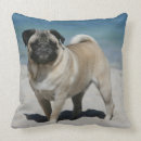 Recherche de carlin de faon coussins Balais