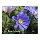 Recherche de pays bas photographie Holland