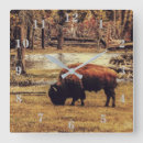 Recherche de bison horloges Animaux