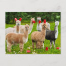 Recherche de humour adulte invitations Bière