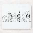 Recherche de chien blanc noir tapis souris Animaux domestiques