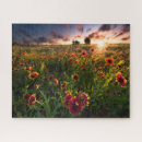 Recherche de indiens puzzles Paysage