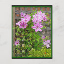 Recherche de clematis cartes postales Fleurs