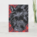 Recherche de scottish vœux cartes Scotty
