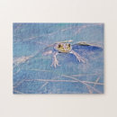 Recherche de grenouilles mignonnes puzzles Nature