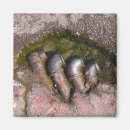Recherche de tuyau magnets L'eau
