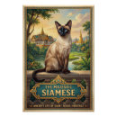 Recherche de chats de race posters Animal