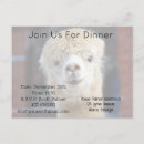 Recherche de le pérou invitations Alpaga