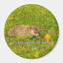 Recherche de six magnets Humour