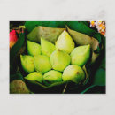 Recherche de bourgeon cartes postales Lotus