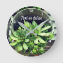 Recherche de plantes horloges Mère
