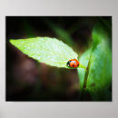 Recherche de up photographie Photographie de la nature