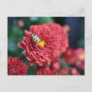 Recherche de ins posters Fleur