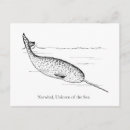 Recherche de narwhal cartes postales Narval
